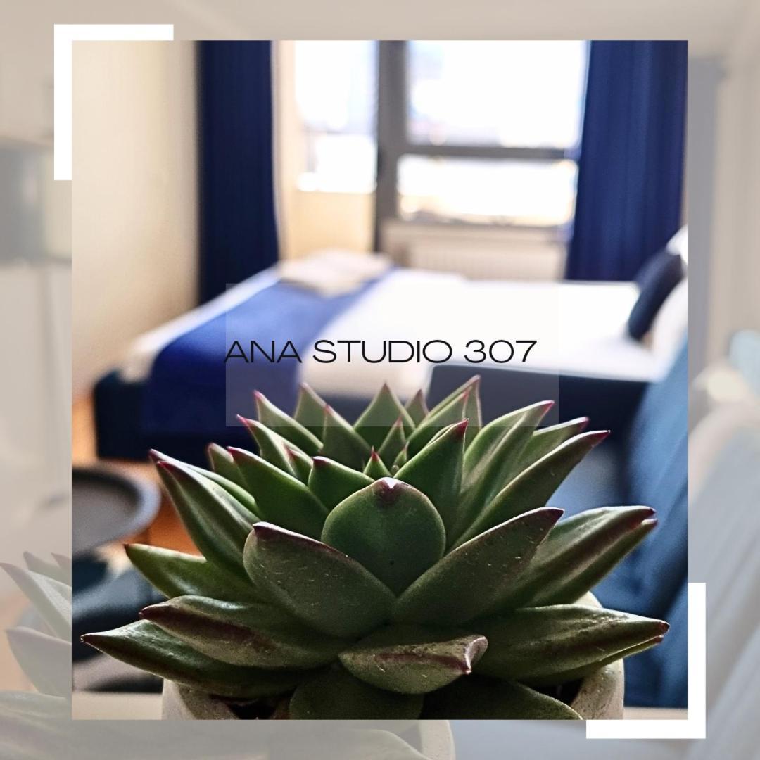 Apartmán Ana Studio 307 Priština Exteriér fotografie